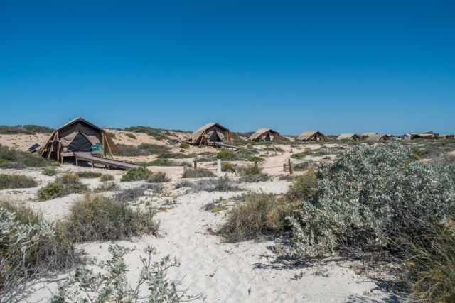 Sal Salis eco‑tents on wooden platforms set among coastal dunes at Ningaloo Reef under a clear blue sky.