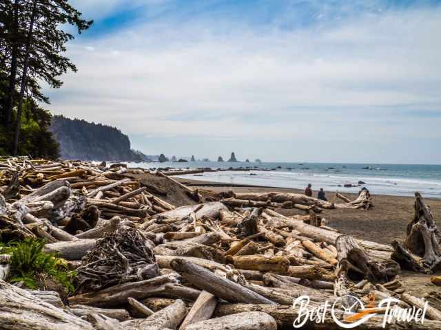 Plenty of driftwood at Third Beach