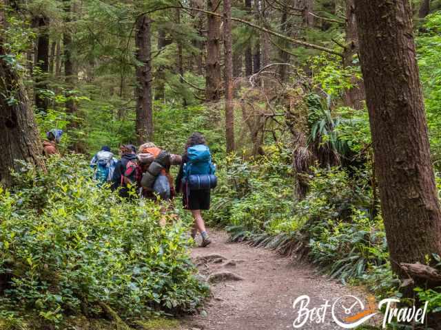 A group of backcountry hikers-campers on the forest trail.