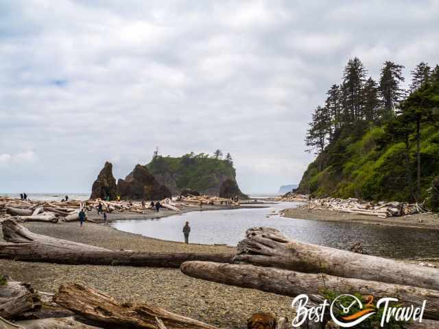 Ruby Beach full of drift logs and many visitors.