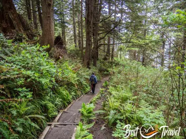 The last part of the hike the decline to Second Beach.