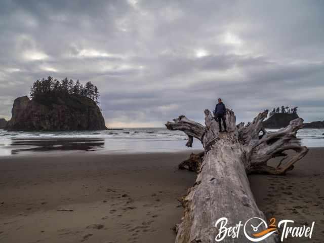 A man standing on a huge drift log at Second Beach.