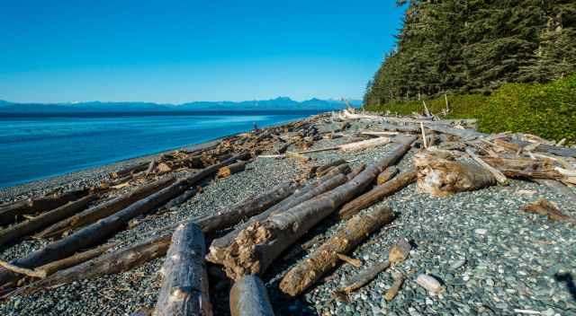 The pebble beach in Malcolm Island where orcas rub