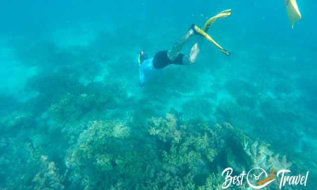 A woman diving at Ningaloo