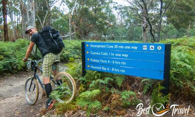 A man on a bike in nature on a path on Maria Island