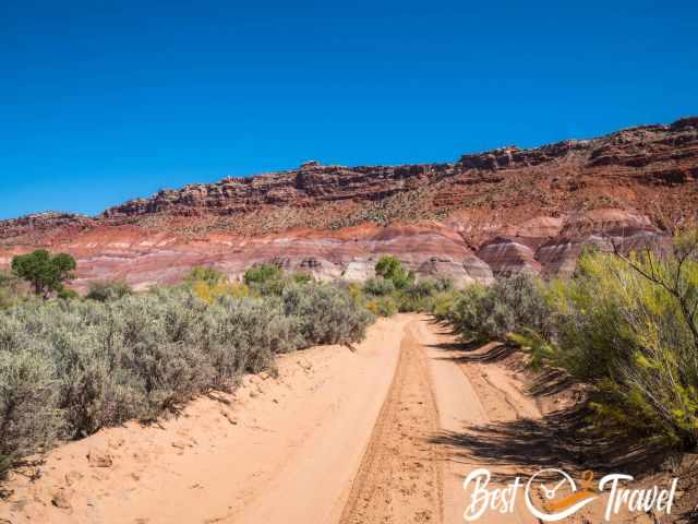 A clayish dirt road with deep tire tracks.