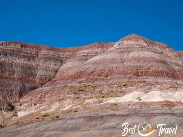 The colourful hills in white, pink, green, lilac with two hikers on top.