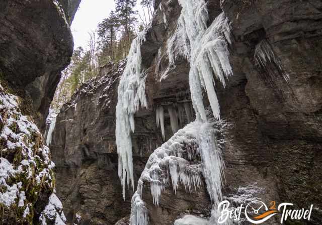 Hanging icicles from the top of the high gorge walls 