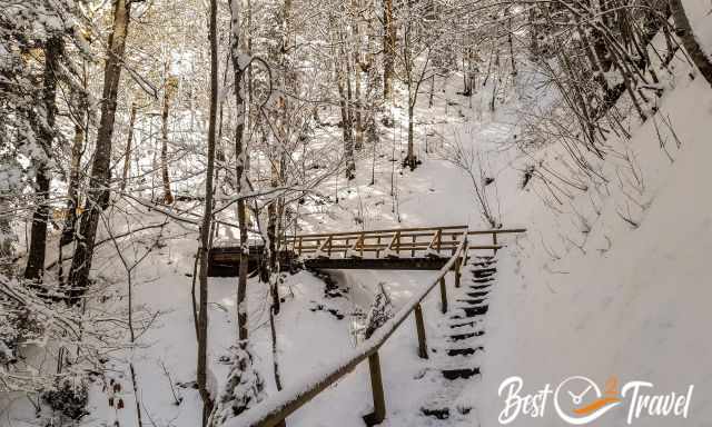 The narrow forest path to Kaiserschmarrnalm in winter.