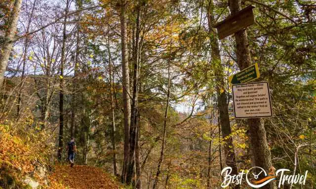 Narrow forest path and trail sign to iron bridge.