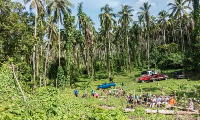 People sitting on a trunk watching the land diving