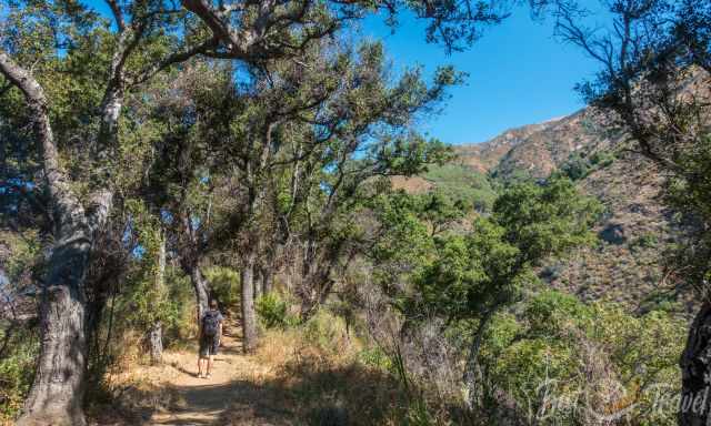 Valley View Hike in the Pfeiffer Big Sur