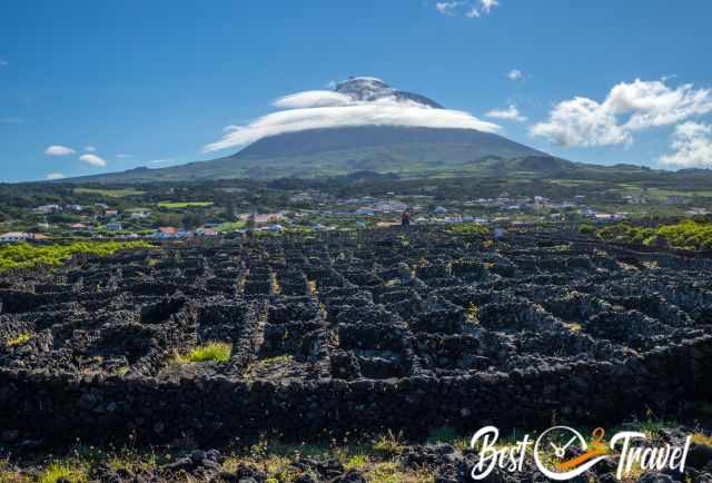 Traditional Pico Island vineyards with volcanic stone walls in the foreground and Pico Mountain rising behind them, topped by a typical lenticular cloud.