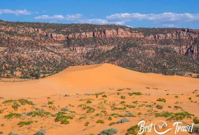 Coral Pink Sand Dunes Panorama