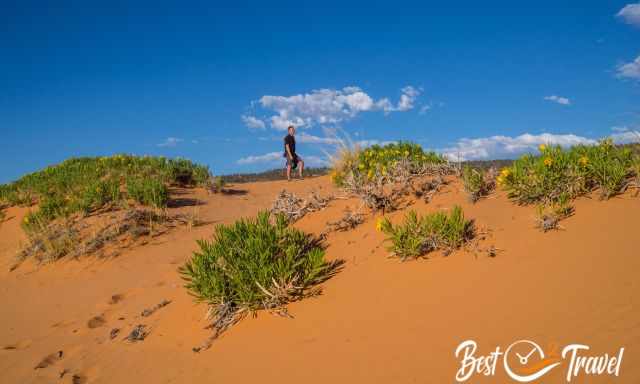 On the top of a dune