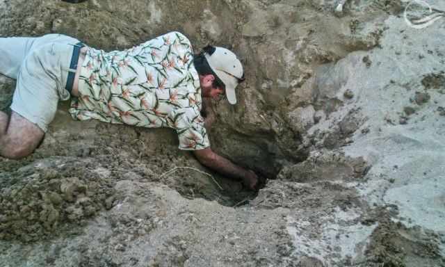 A volunteers digs out all laid turtle eggs