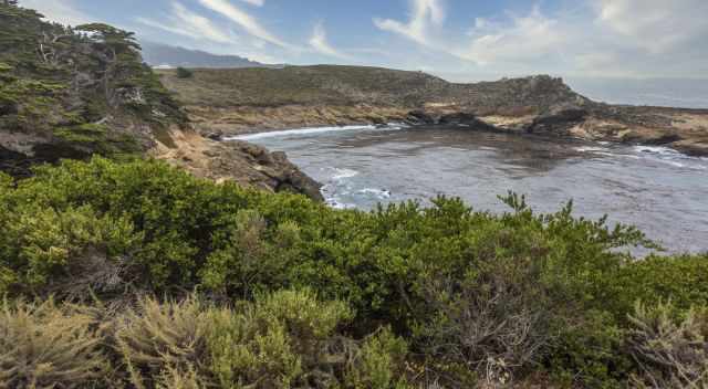 Cove in Point Lobos