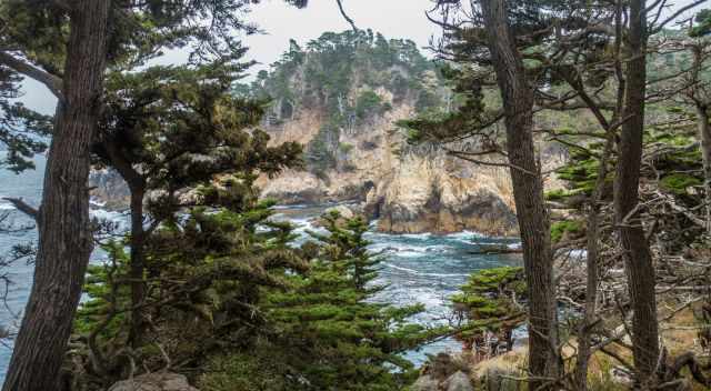 Coastal shore of Point Lobos