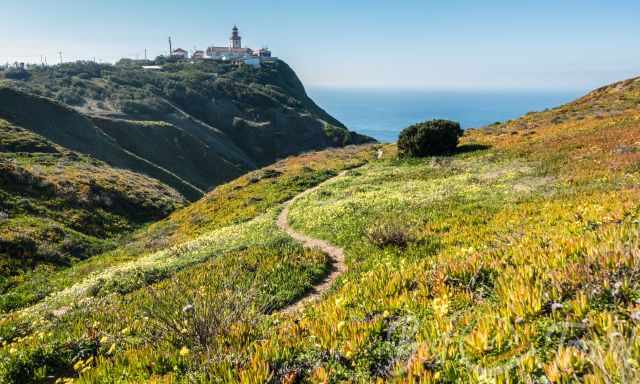 The coastal path with Cabo da Roca in the back