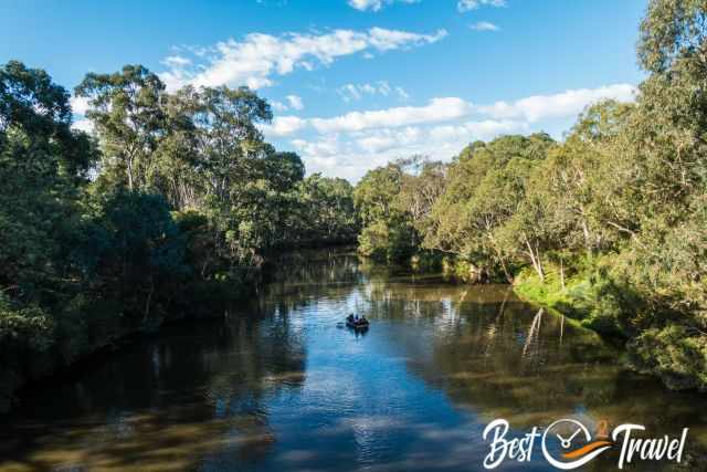 Yarra Bend River and a rowing boat with visitors