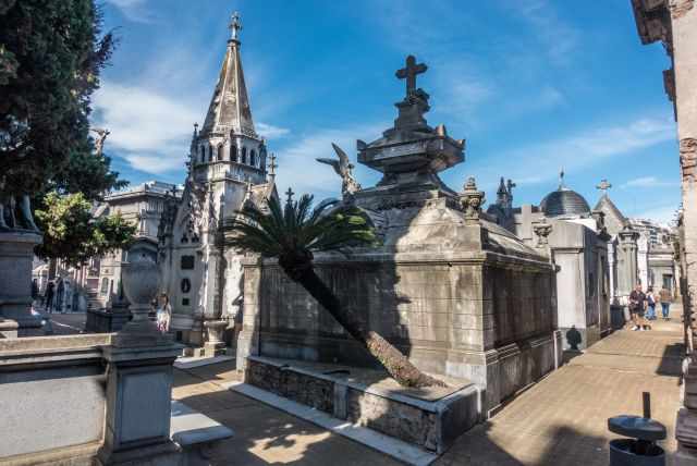 A palm tree between the tombs