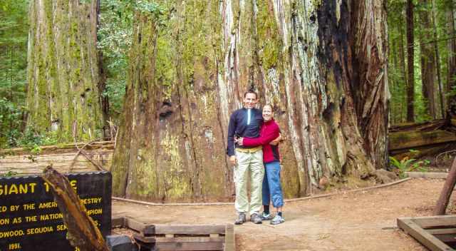 A couple standing in front of the Giant Redwood Tree