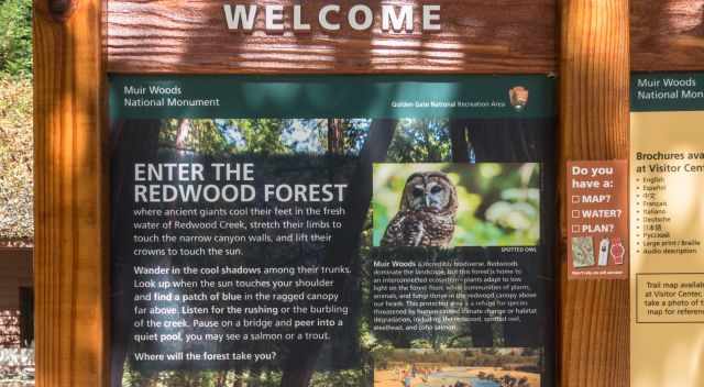 Muir Woods explanation sign