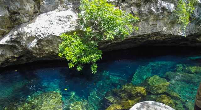 Cenote Chac mool from the outside