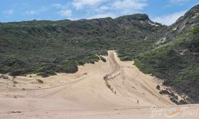 The Witsand huge dune where hikers are coming down.