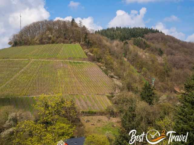 The chairlift in the vineyards.