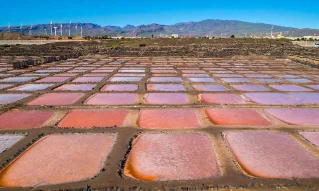 The colourful Salinas de Arinaga