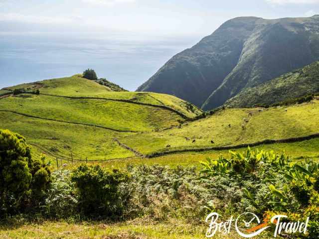 The green slopes in Sao Jorge