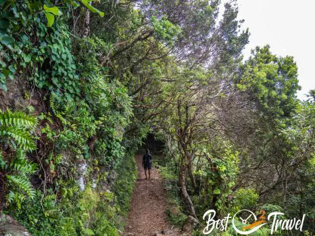 The steep hiking trail
