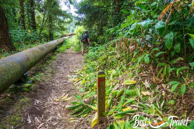 A hiker next to the water pipe along the forest trail.