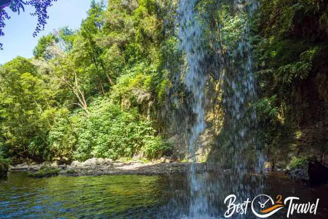 Picture taken from behind the waterfall to the pool and forest.