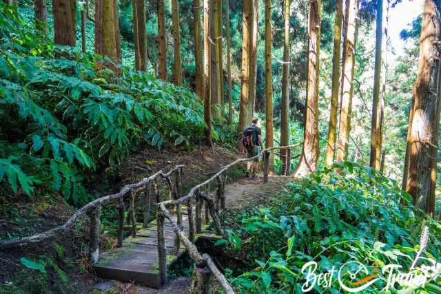 A hiker on a wooden footbridge along the trail.