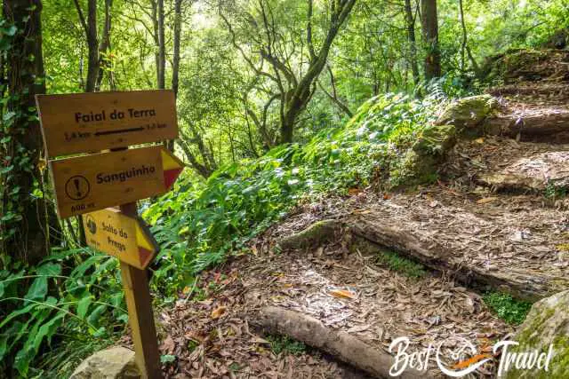 Several hiking signs for different directions and waterfalls.