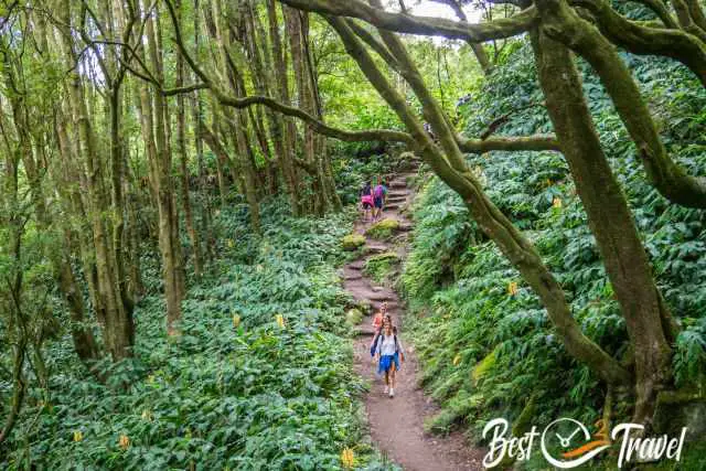 A few more visitors on the hiking path to the waterfalls.