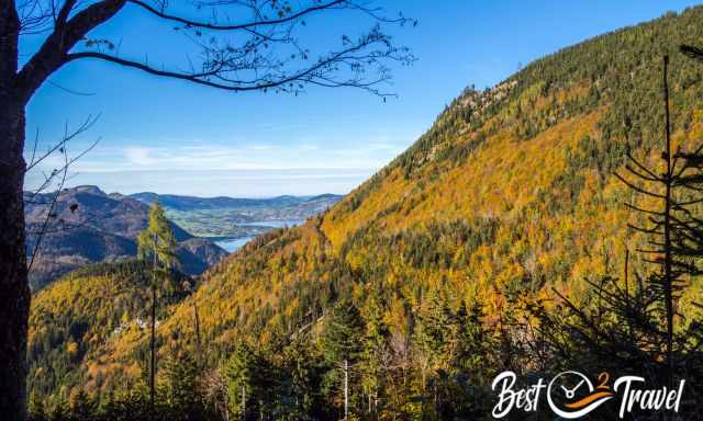 The fall foliage at Schafberg