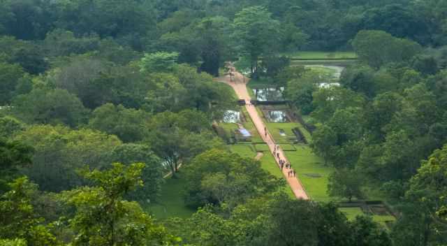 The lush Sigiriya gargen with people walking on a path