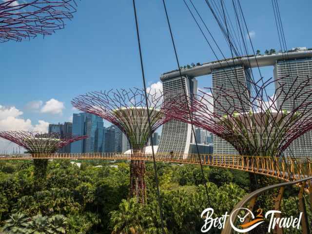 The skyway and supertree grove with the famous hotel in the back.