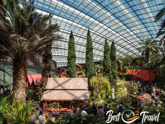 Huge trees and a lush vegetation in the Flower Dome.