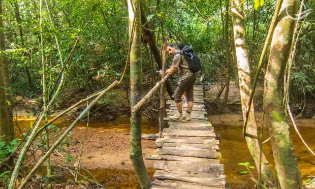 Hiking Trail and wooden bridge above a stream