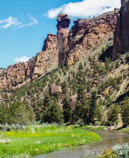 The river has a high water level in the background monkey face rock