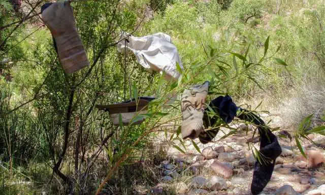 Clothes and socks are drying in a bush in the sun
