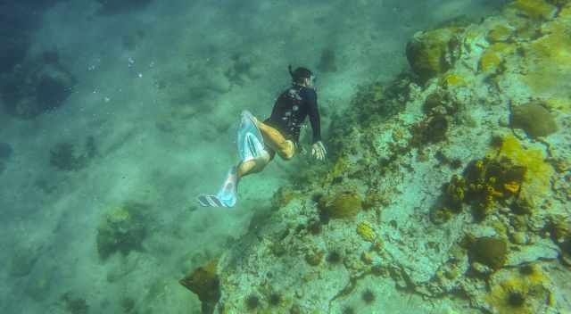 Snorkeler at Anse Chastanet Reef