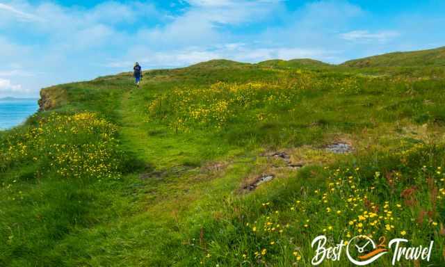 The hilly and green Staffa Island