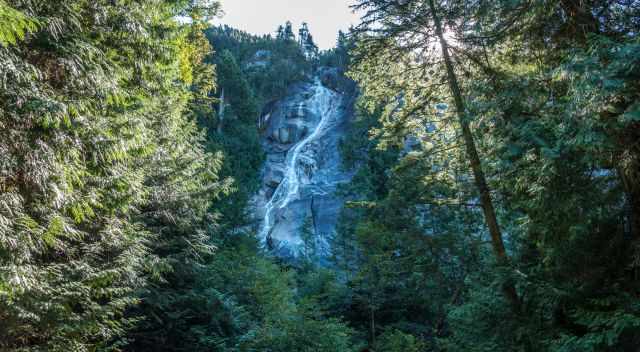 Shannon Falls view from the bottom.