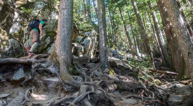 A hiker on the steep trail through the forest