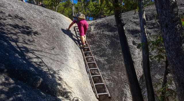A woman climbing a ladder.